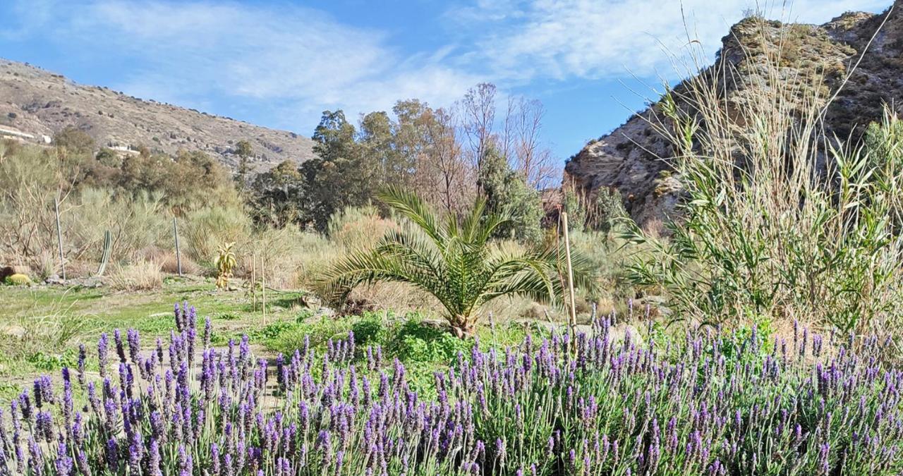 Cortijo Aguacha Villa Bayacas Luaran gambar