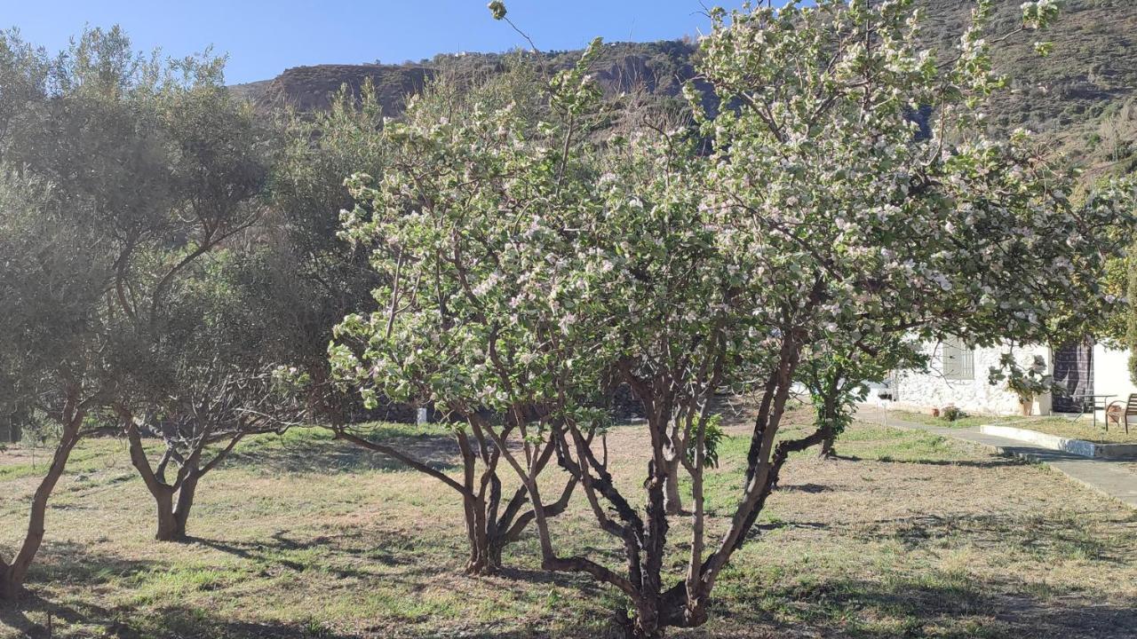 Cortijo Aguacha Villa Bayacas Luaran gambar