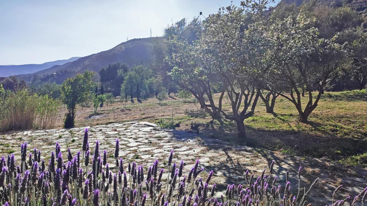 Cortijo Aguacha Villa Bayacas Luaran gambar