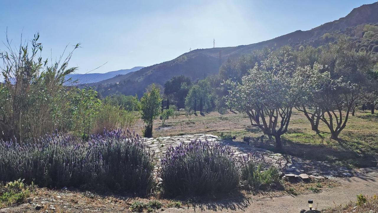 Cortijo Aguacha Villa Bayacas Luaran gambar